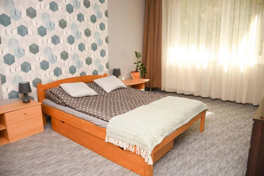 Dora Apartman Best Location & Free Parking Debrecen Buitenkant foto