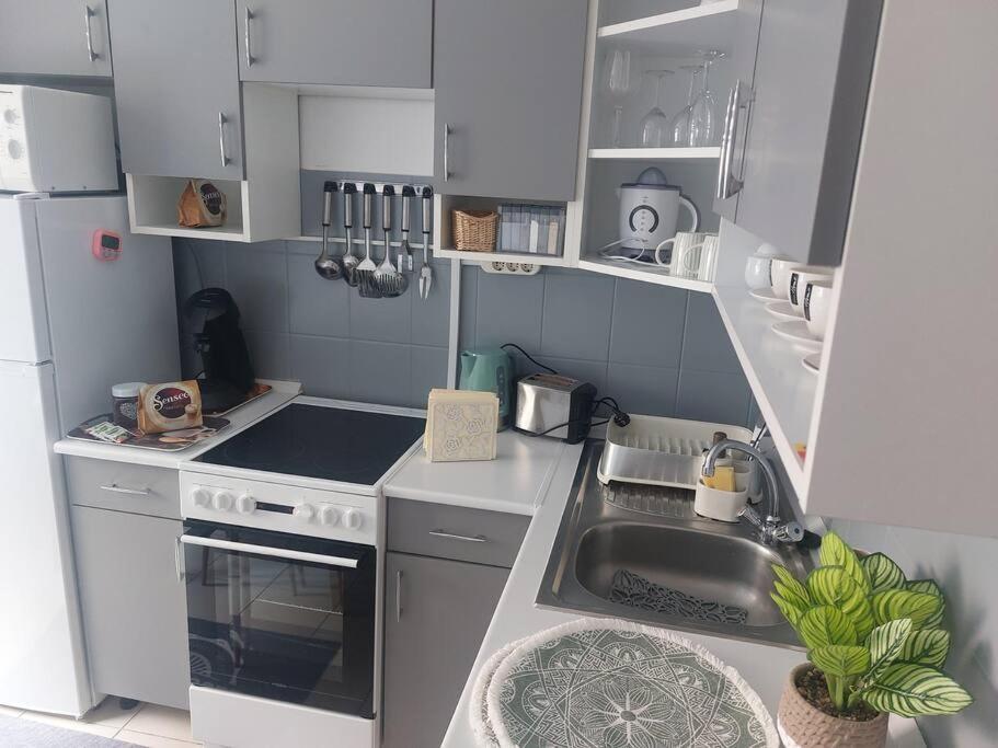 Dora Apartman Best Location & Free Parking Debrecen Buitenkant foto